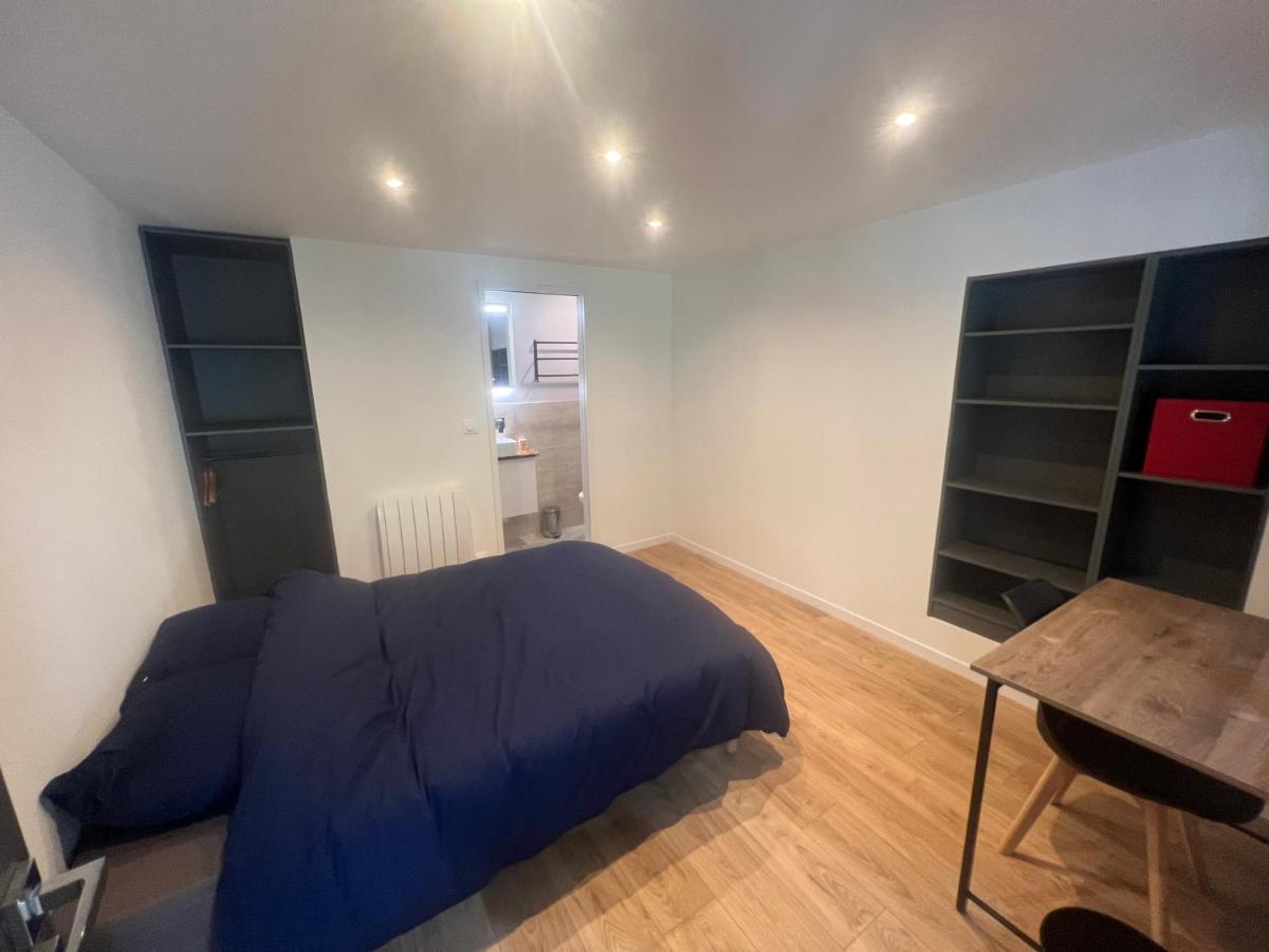Appartement Loft Entier Nancy Centre Et Parking Extérieur photo